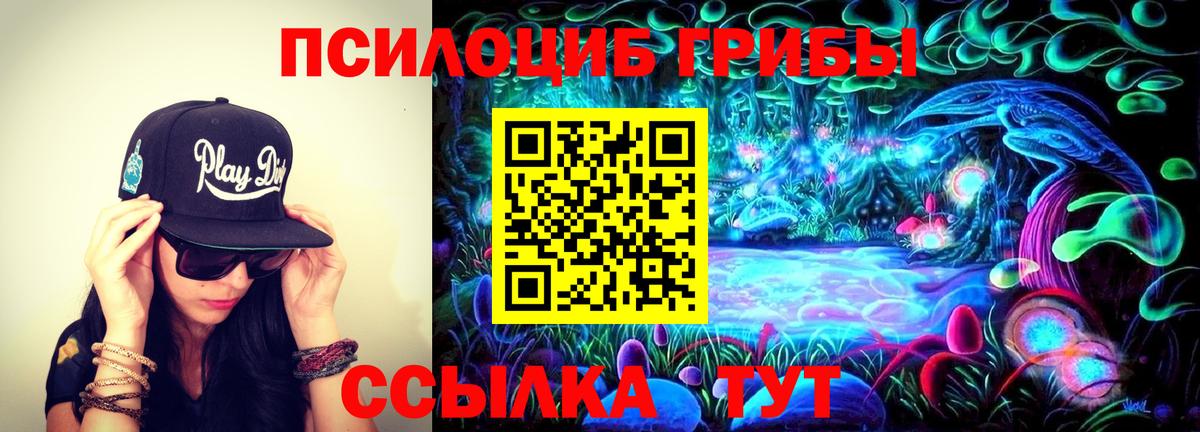 Псилоцибиновые грибы ЛСД Великий Новгород